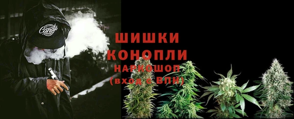 ГАЛЛЮЦИНОГЕННЫЕ ГРИБЫ Верхнеуральск