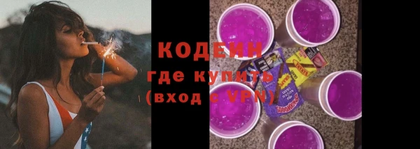 ешки Бородино