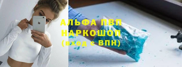 ешки Бородино