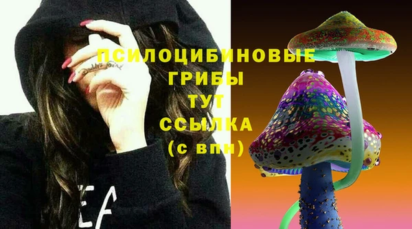 ГАЛЛЮЦИНОГЕННЫЕ ГРИБЫ Верхнеуральск