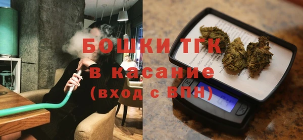 ешки Бородино